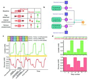 Clinical translation of microfluidic sensor devices: focus on calibration and analytical robustness