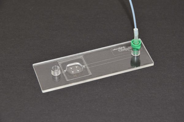 Straight Channel Luer Chip with Waste Chamber - 10000429 - Microfluidic ChipShop