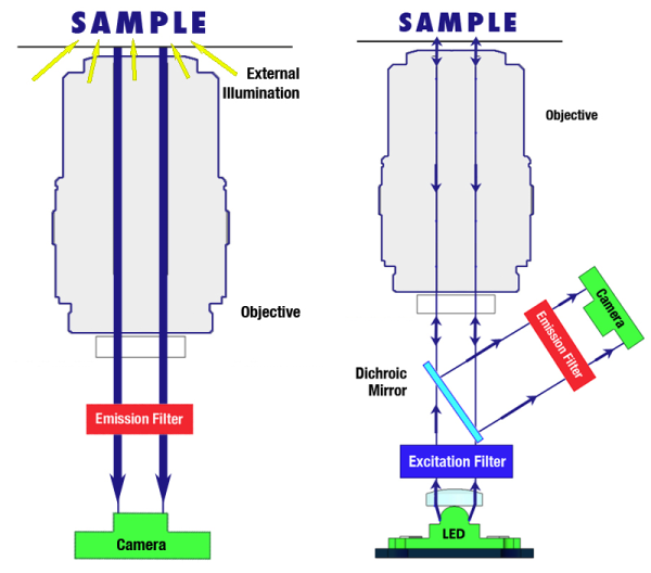 Inverted Fluorescence Microscope operation (left), Inverted Epifluorescence Microscope operation (right)