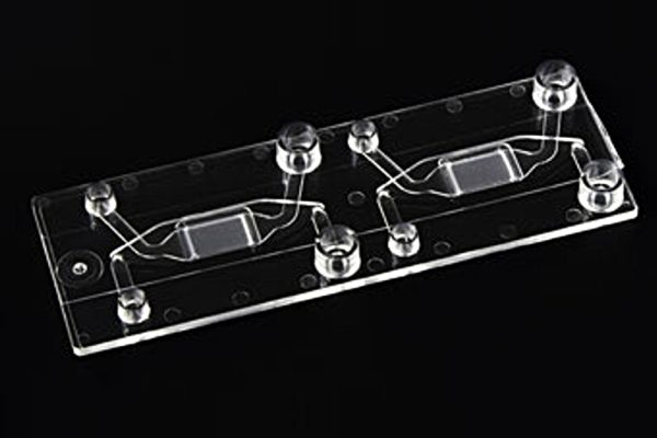 fluiidic 568, membrane chip, cross flow, 10001200, microfluidic chipshop